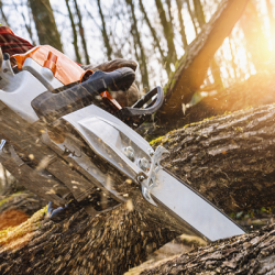 Réalisation Tronçonnage débitage d'arbre 76