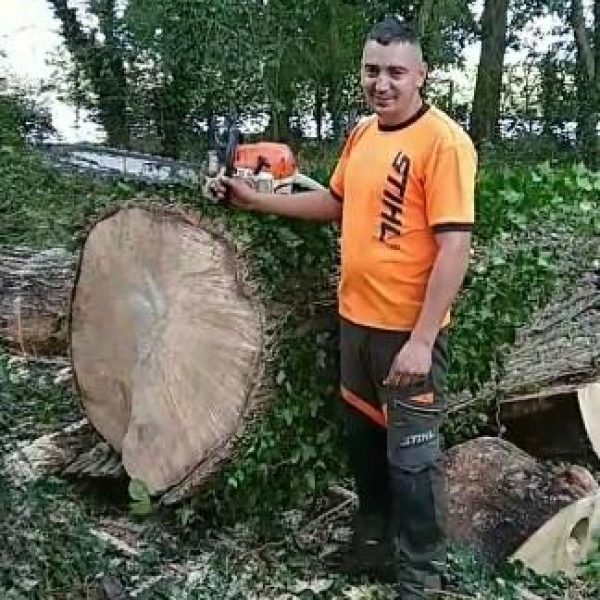 Lemarchand Élagage après un abattage 76