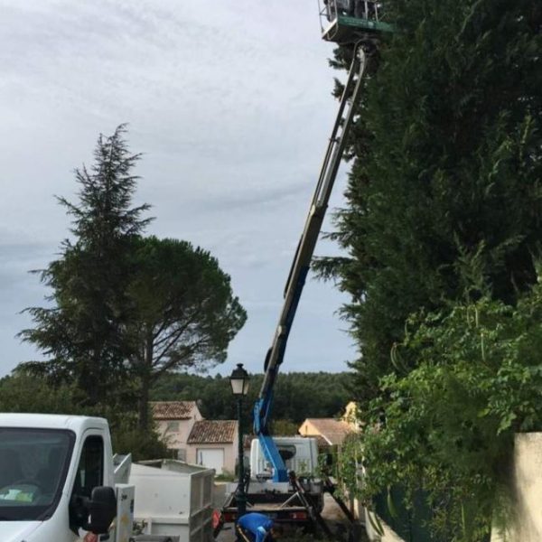 Réalisation d'un élagage nacelle entreprise Lemarchand Elagage 76